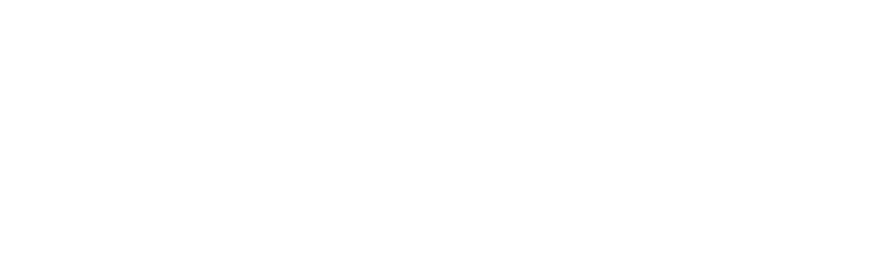 Logotipo de El Toro Web, agencia de marketing digital, destacando el nombre en letras grandes y blancas sobre fondo negro, representando servicios de automatización de marketing y ventas.